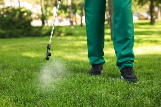 Best Emergency Pest Control  in Woodsfield, OH