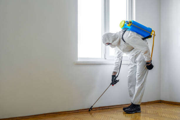 Best Pest Removal Services  in Woodsfield, OH