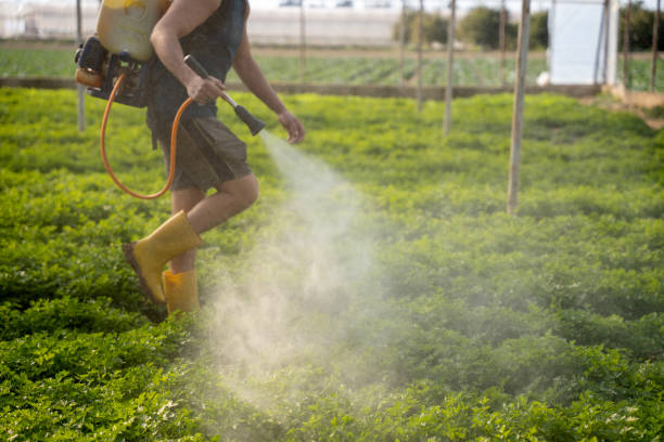 Best Best Pest Control Companies  in Woodsfield, OH