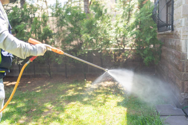 Best Pest Control for Restaurants  in Woodsfield, OH