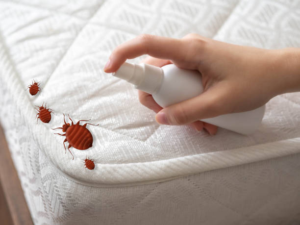 Best Commercial Pest Control Services  in Woodsfield, OH