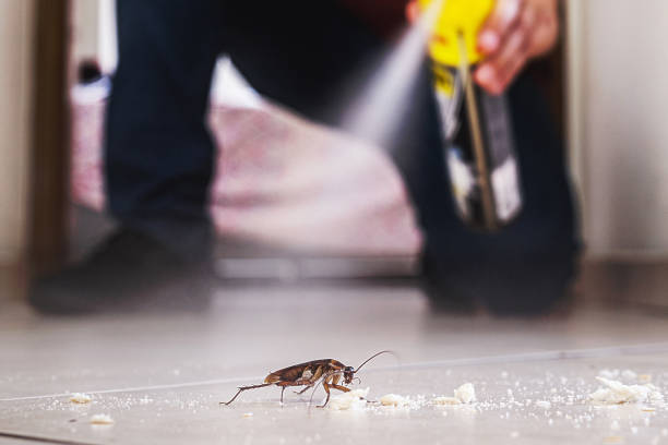 Best Mosquito Control Services  in Woodsfield, OH