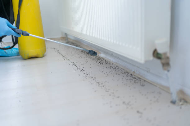 Best Wildlife Control Services  in Woodsfield, OH