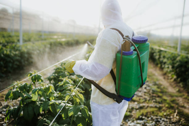 Best Wasp Removal Services  in Woodsfield, OH